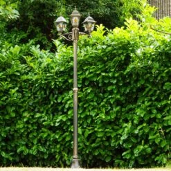 Antibes Kandelaber Braun, Gold, 3-flammig -Lampe Verkäufe antibes kandelaber h163765 kandelaber2 16