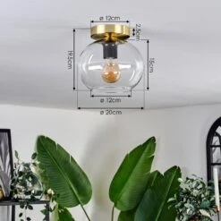 Apedo Deckenleuchte Glas 20 Cm Gold, Schwarz, 1-flammig -Lampe Verkäufe apedo deckenleuchte glas 20 cm h3771860 3