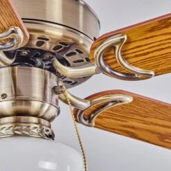 Apiao Deckenventilator Braun, Hellbraun, Holzoptik, Silber, 1-flammig -Lampe Verkäufe apiao deckenventilator h3605745 2