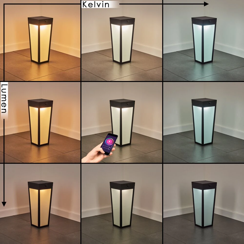 Begg Solar-Wegeleuchte LED Schwarz, 1-flammig, Bewegungsmelder, Farbwechsler 5 Begg Solar-Wegeleuchte LED Schwarz, 1-flammig, Bewegungsmelder, Farbwechsler – Bild 3