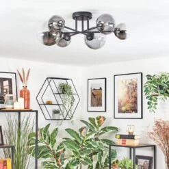 Chehalis Deckenleuchte Glas 10 Cm, 12 Cm, 15 Cm Klar, Rauchfarben, 6-flammig -Lampe Verkäufe chehalis deckenleuchte glas 10 cm 12 cm 15 cm h9026945 11