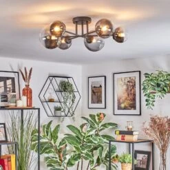 Chehalis Deckenleuchte Glas 10 Cm, 12 Cm, 15 Cm Klar, Rauchfarben, 6-flammig -Lampe Verkäufe chehalis deckenleuchte glas 10 cm 12 cm 15 cm h9026945 8