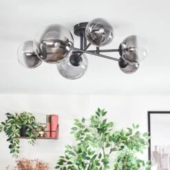 Chehalis Deckenleuchte Glas 10 Cm, 12 Cm, 15 Cm Klar, Rauchfarben, 6-flammig -Lampe Verkäufe chehalis deckenleuchte glas 10 cm 12 cm 15 cm h9026945 9