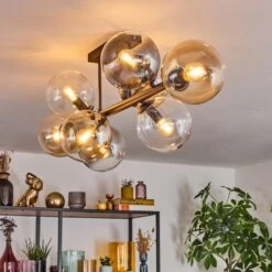 Chehalis Deckenleuchte Glas 15 Cm Bernsteinfarben, Klar, Rauchfarben, 8-flammig -Lampe Verkäufe chehalis deckenleuchte glas 15 cm h3871652 10