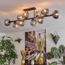 Chehalis Deckenleuchte Glas 15 Cm Klar, Rauchfarben, 10-flammig -Lampe Verkäufe chehalis deckenleuchte glas 15 cm h3871737 6