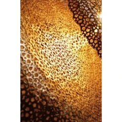 Holländer UTOPISTICO Wandleuchte Gold, Messing, 3-flammig -Lampe Verkäufe hollaender utopistico wandleuchte 300 k 1645 6