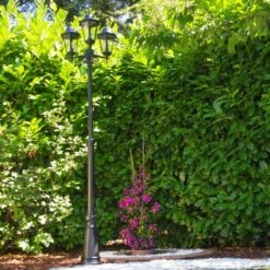 Hongkong Kandelaber Schwarz, Transparent, Klar, 3-flammig -Lampe Verkäufe hongkong kandelaber 31331lbsw 8