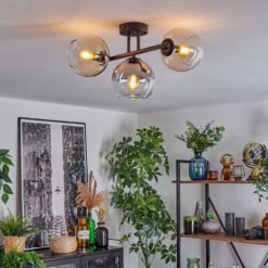 Koyoto Deckenleuchte Glas 15 Cm Bernsteinfarben, Klar, Rauchfarben, 3-flammig -Lampe Verkäufe koyoto deckenleuchte glas 15 cm h3858905 10