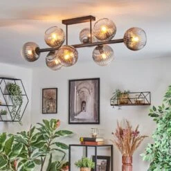 Koyoto Deckenleuchte Glas 15 Cm Klar, Rauchfarben, 8-flammig -Lampe Verkäufe koyoto deckenleuchte glas 15 cm h3900765 12