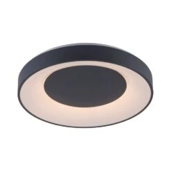 Leuchten Direkt LOLAsmart-ANIKA Deckenleuchte LED Anthrazit, 1-flammig, Fernbedienung, Farbwechsler -Lampe Verkäufe leuchten direkt lolasmart anika deckenleuchte 14346 18 2