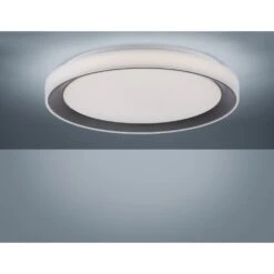 Leuchten Direkt LOLAsmart_DISC Deckenleuchte LED Schwarz, 1-flammig, Fernbedienung, Farbwechsler 18 Leuchten Direkt LOLAsmart_DISC Deckenleuchte LED Schwarz, 1-flammig, Fernbedienung, Farbwechsler -Lampe Verkäufe leuchten direkt lolasmart disc deckenleuchte 14659 18 6