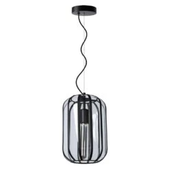 Lucide FERN Pendelleuchte Schwarz, 1-flammig -Lampe Verkäufe lucide fern pendelleuchte 25409 01 30 4