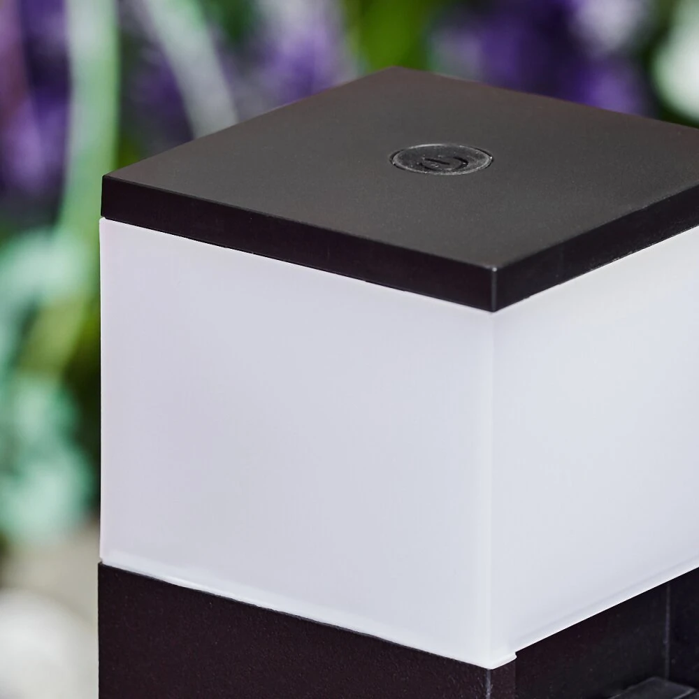 Papacal Steckdosenleuchte LED Schwarz, 1-flammig 5 Papacal Steckdosenleuchte LED Schwarz, 1-flammig – Bild 3