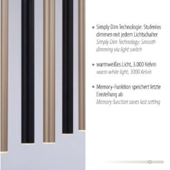 Paul Neuhaus FLUTE Pendelleuchte LED Schwarz, 7-flammig -Lampe Verkäufe paul neuhaus flute pendelleuchte 2117 18 3