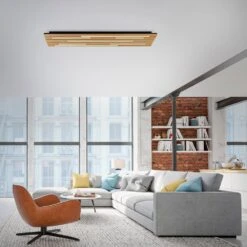 Paul Neuhaus Q-Akustik Wand- Und Deckenleuchte LED Braun, Schwarz, 1-flammig, Fernbedienung -Lampe Verkäufe paul neuhaus q akustik wand und deckenleuchte 6422 79 1