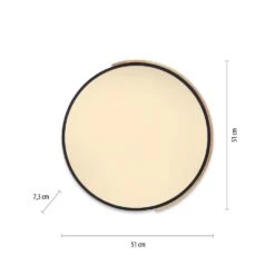 Paul Neuhaus Q-BILA Deckenleuchte LED Naturfarben, Schwarz, 1-flammig, Fernbedienung -Lampe Verkäufe paul neuhaus q bila deckenleuchte 6071 18 7