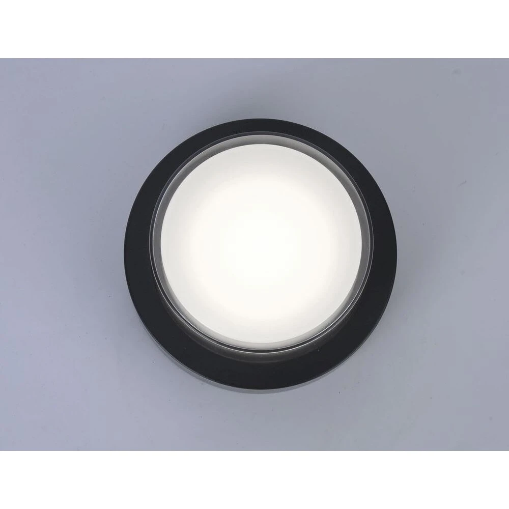 Paul Neuhaus Q-ERIK Wand- Und Deckenleuchte LED Weiß, 1-flammig, Bewegungsmelder, Fernbedienung, Farbwechsler 6 Paul Neuhaus Q-ERIK Wand- Und Deckenleuchte LED Weiß, 1-flammig, Bewegungsmelder, Fernbedienung, Farbwechsler – Bild 4