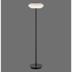 Paul Neuhaus Q-ETIENNE Stehleuchte LED Schwarz, 1-flammig, Fernbedienung -Lampe Verkäufe paul neuhaus q etienne stehleuchte 271 18 1