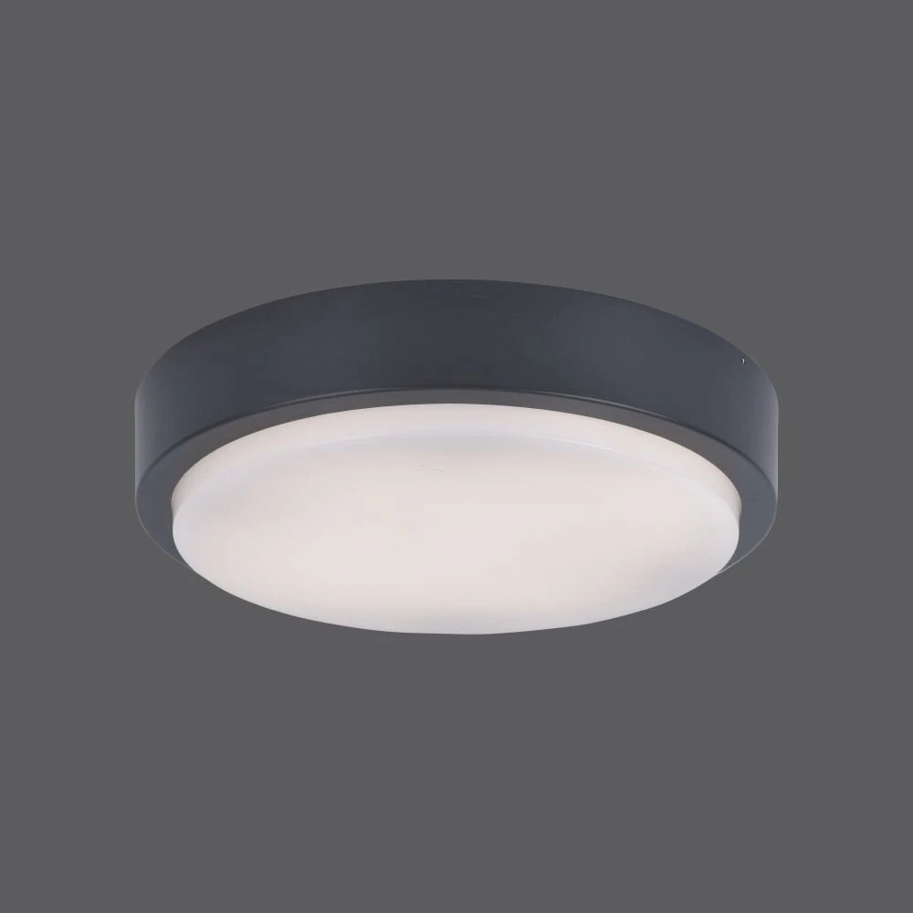 Paul Neuhaus Q-LENNY Deckenleuchte LED Anthrazit, 1-flammig, Fernbedienung, Farbwechsler 5 Paul Neuhaus Q-LENNY Deckenleuchte LED Anthrazit, 1-flammig, Fernbedienung, Farbwechsler – Bild 3