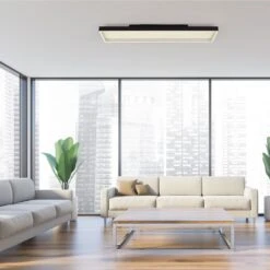 Paul Neuhaus Q-Magong Deckenleuchte LED Schwarz, 1-flammig, Fernbedienung -Lampe Verkäufe paul neuhaus q magong deckenleuchte 6317 18 2