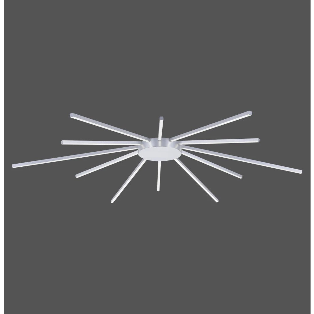 Paul Neuhaus Q-SUNSHINE Deckenleuchte LED Aluminium, 12-flammig, Fernbedienung 4 Paul Neuhaus Q-SUNSHINE Deckenleuchte LED Aluminium, 12-flammig, Fernbedienung – Bild 2