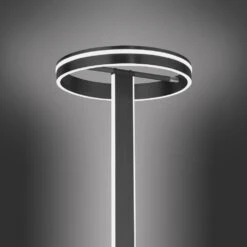 Paul Neuhaus Q-VITO Stehleuchte LED Anthrazit, 3-flammig, Fernbedienung -Lampe Verkäufe paul neuhaus q vito stehleuchte 618 13 10