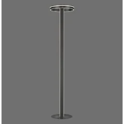 Paul Neuhaus Q-VITO Stehleuchte LED Anthrazit, 3-flammig, Fernbedienung -Lampe Verkäufe paul neuhaus q vito stehleuchte 618 13 2