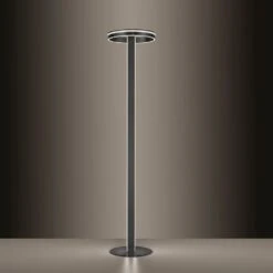 Paul Neuhaus Q-VITO Stehleuchte LED Anthrazit, 3-flammig, Fernbedienung -Lampe Verkäufe paul neuhaus q vito stehleuchte 618 13 4