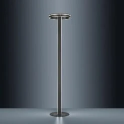 Paul Neuhaus Q-VITO Stehleuchte LED Anthrazit, 3-flammig, Fernbedienung -Lampe Verkäufe paul neuhaus q vito stehleuchte 618 13 6