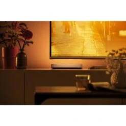 Philips Hue Ambiance White & Color Play Lightbar Erweiterung LED Schwarz, Weiß, 1-flammig, Farbwechsler -Lampe Verkäufe philips hue ambiance white color play lightbar erweiterung 8718696170809 8