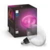 Philips Hue E27 LED 6,5 Watt 2000-6500 Kelvin 500 Lumen 1 Philips Hue E27 LED 6,5 Watt 2000-6500 Kelvin 500 Lumen -Lampe Verkäufe philips hue e27 led 6 5 watt 2000 6500 kelvin 500 lumen 8719514419278 0