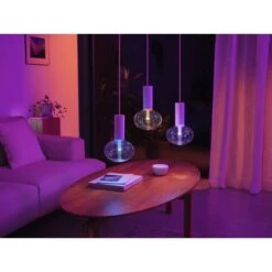 Philips Hue E27 LED 6,5 Watt 2000-6500 Kelvin 500 Lumen -Lampe Verkäufe philips hue e27 led 6 5 watt 2000 6500 kelvin 500 lumen 8719514419278 6