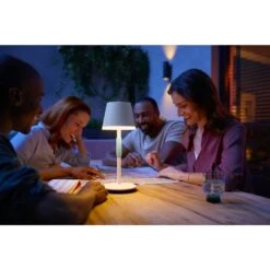 Philips Hue Go Außentischleuchte LED Grün, Weiß, 1-flammig, Farbwechsler -Lampe Verkäufe philips hue go aussentischleuchte 8719514404571 14