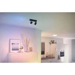 Philips WiZ IMAGEO Deckenleuchte LED Schwarz, 2-flammig, Farbwechsler -Lampe Verkäufe philips wiz imageo deckenleuchte 8719514551954 2