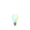 Philips WiZ LED E27 7 Watt 2200-6500 Kelvin 806 Lumen