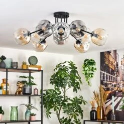 Ripoll Deckenleuchte Glas 15 Cm Bernsteinfarben, Klar, Rauchfarben, 10-flammig -Lampe Verkäufe ripoll deckenleuchte glas 15 cm h3957066 9