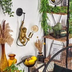 Suardi Wandleuchte Gold, Schwarz, 1-flammig -Lampe Verkäufe suardi wandleuchte h3589700 9